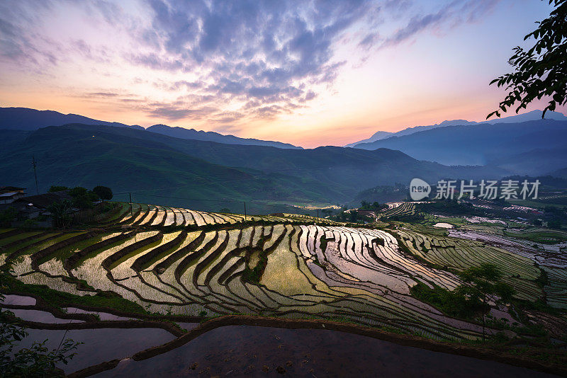 在越南老蔡省Y Ty的梯田里，水季的早上，开始种植水稻的时间